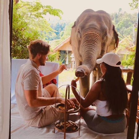 3 Pok Maewang Jinxiang Gold Elephant Park 湄旺 外观 照片