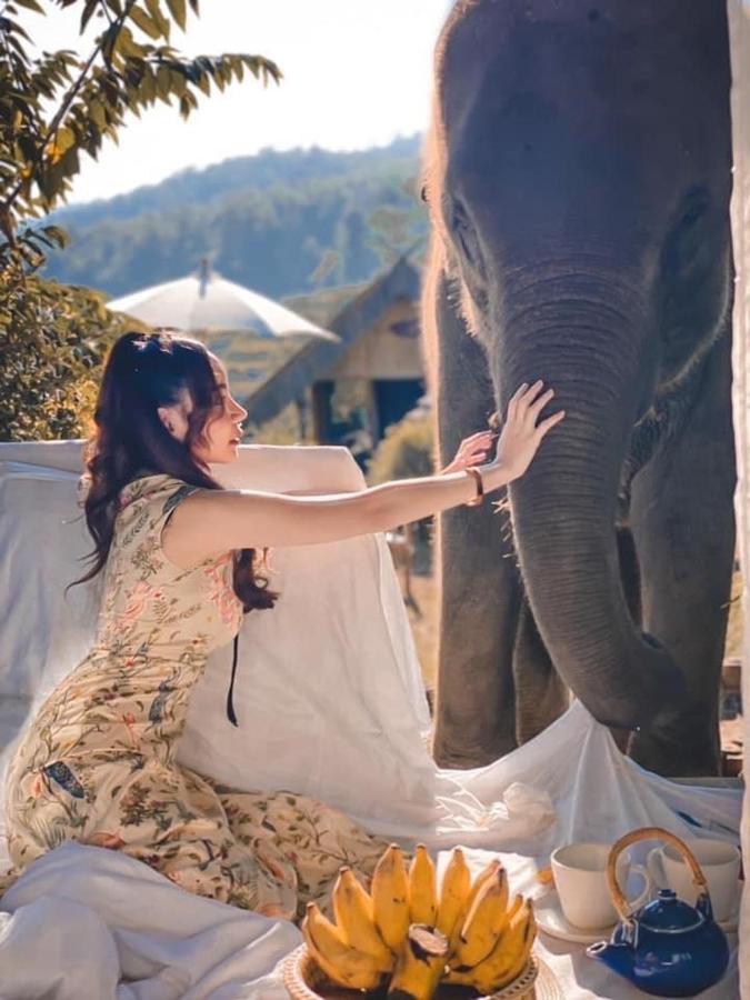 3 Pok Maewang Jinxiang Gold Elephant Park 湄旺 外观 照片