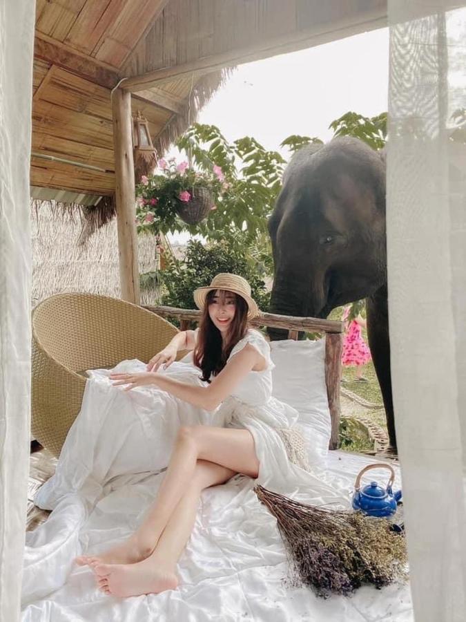 3 Pok Maewang Jinxiang Gold Elephant Park 湄旺 外观 照片