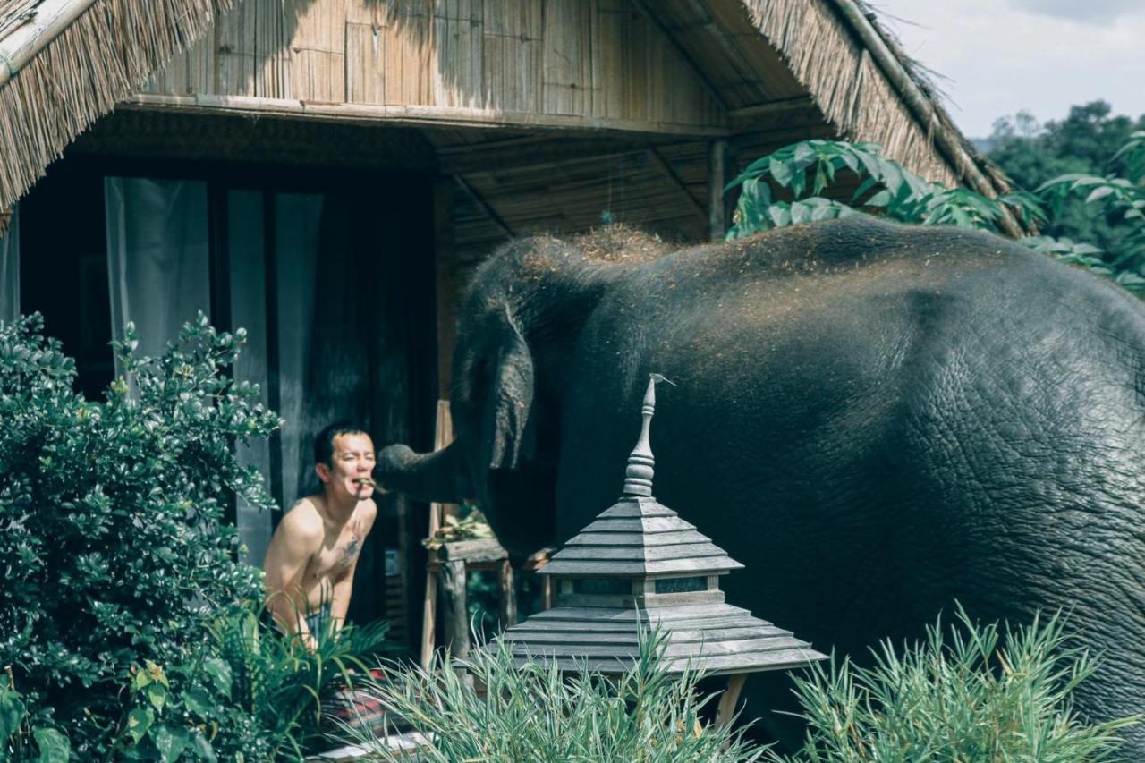 3 Pok Maewang Jinxiang Gold Elephant Park 湄旺 外观 照片