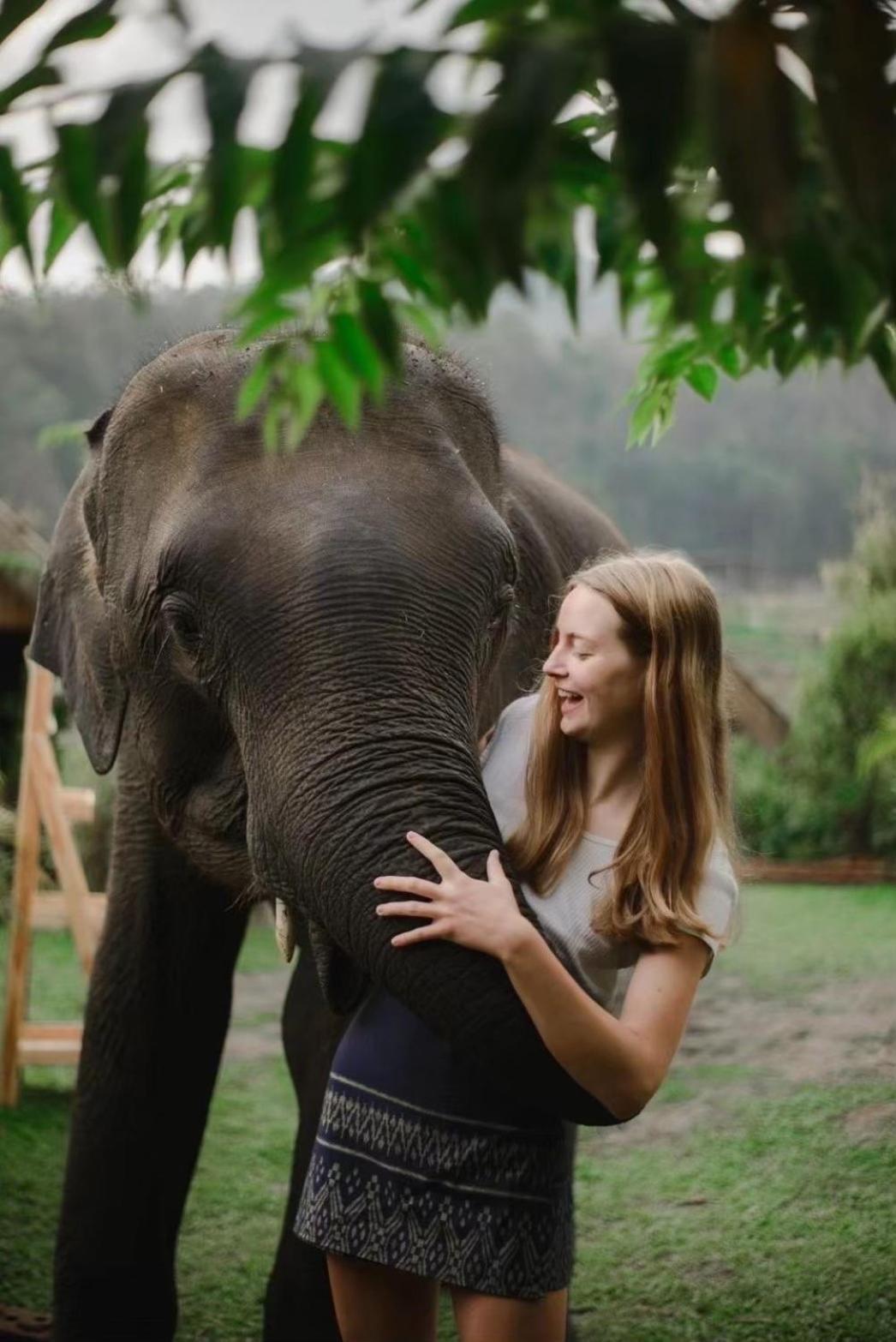 3 Pok Maewang Jinxiang Gold Elephant Park 湄旺 外观 照片
