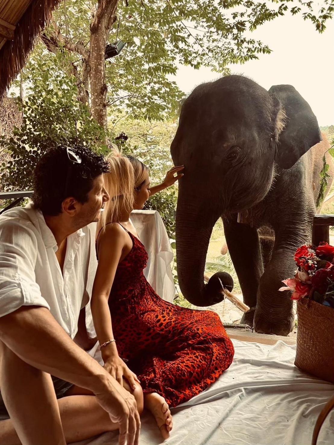 3 Pok Maewang Jinxiang Gold Elephant Park 湄旺 外观 照片