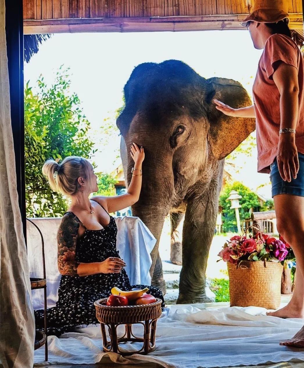 3 Pok Maewang Jinxiang Gold Elephant Park 湄旺 外观 照片