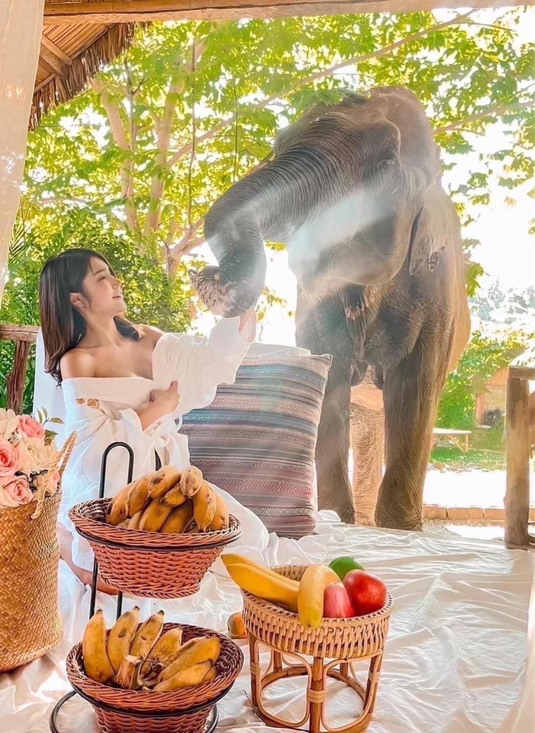 3 Pok Maewang Jinxiang Gold Elephant Park 湄旺 外观 照片