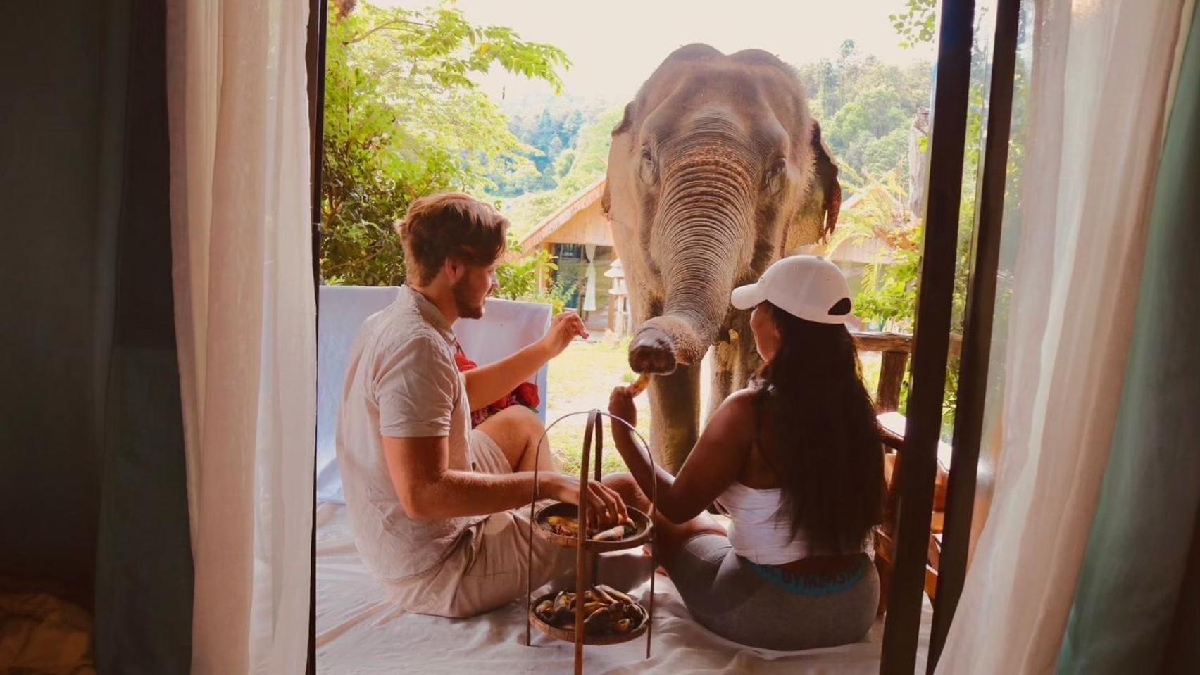 3 Pok Maewang Jinxiang Gold Elephant Park 湄旺 外观 照片