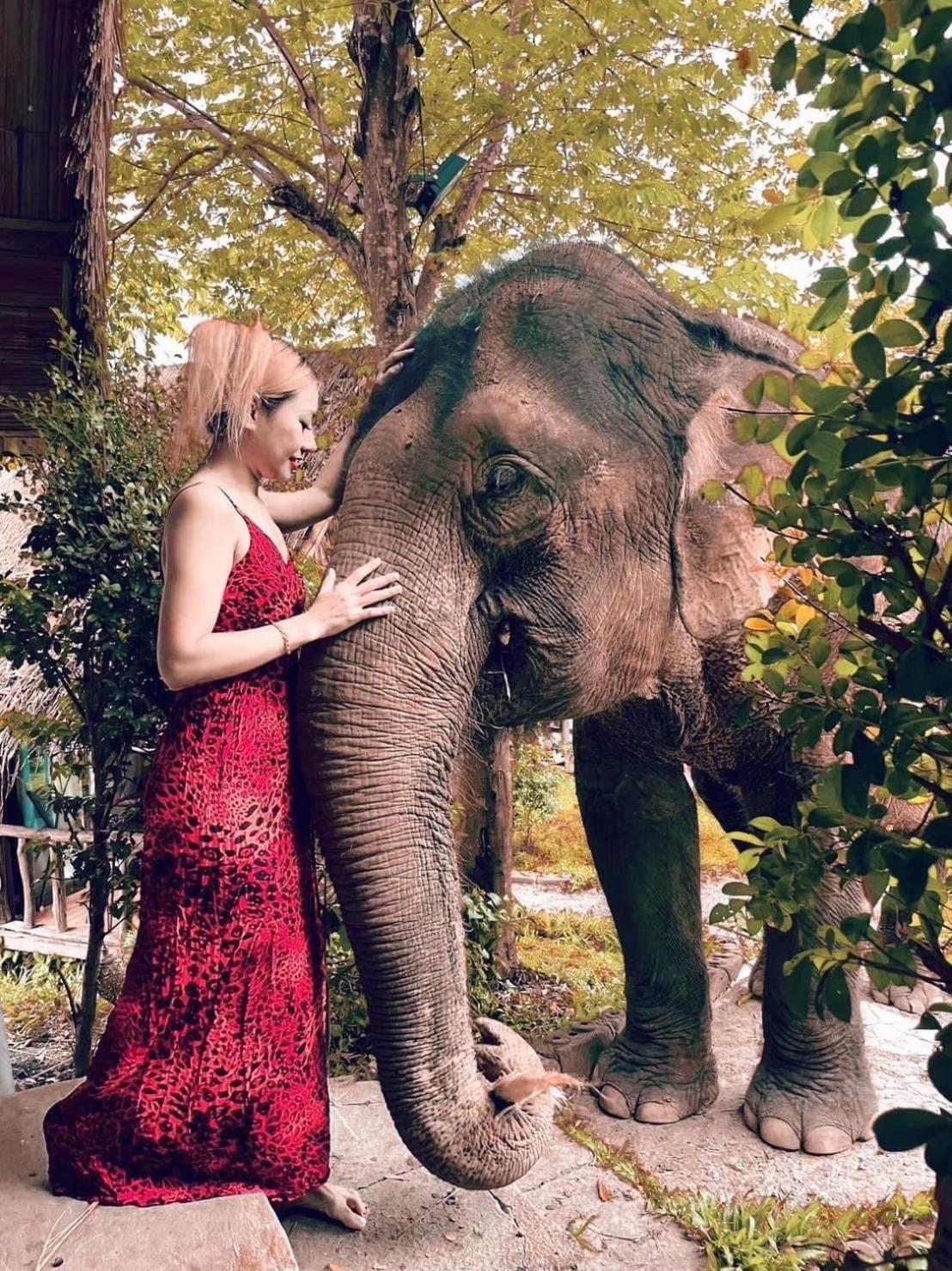 3 Pok Maewang Jinxiang Gold Elephant Park 湄旺 外观 照片