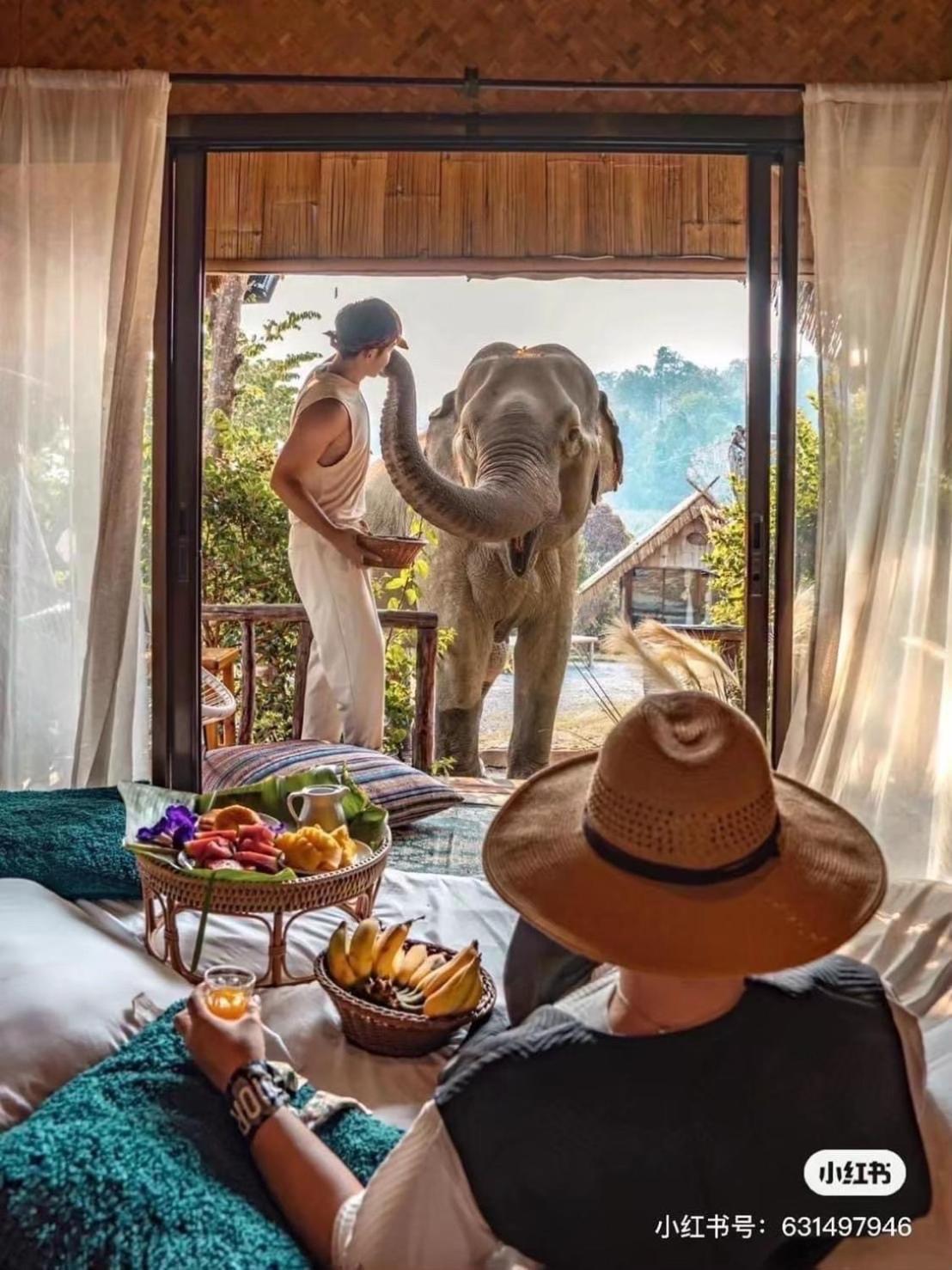 3 Pok Maewang Jinxiang Gold Elephant Park 湄旺 外观 照片