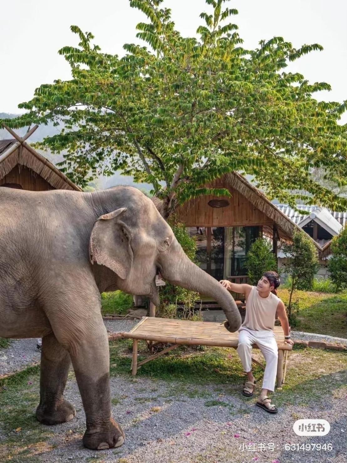 3 Pok Maewang Jinxiang Gold Elephant Park 湄旺 外观 照片