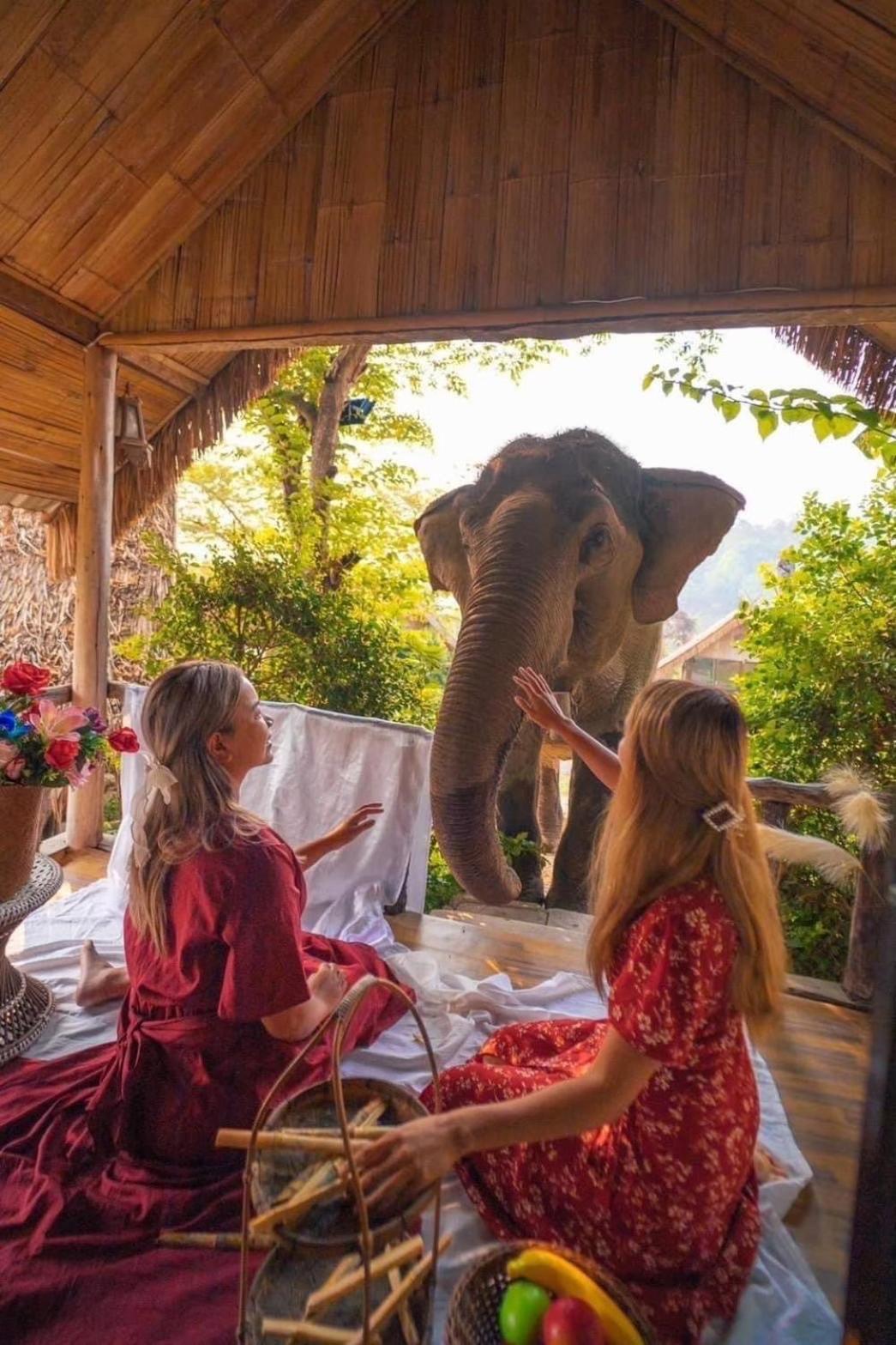3 Pok Maewang Jinxiang Gold Elephant Park 湄旺 外观 照片
