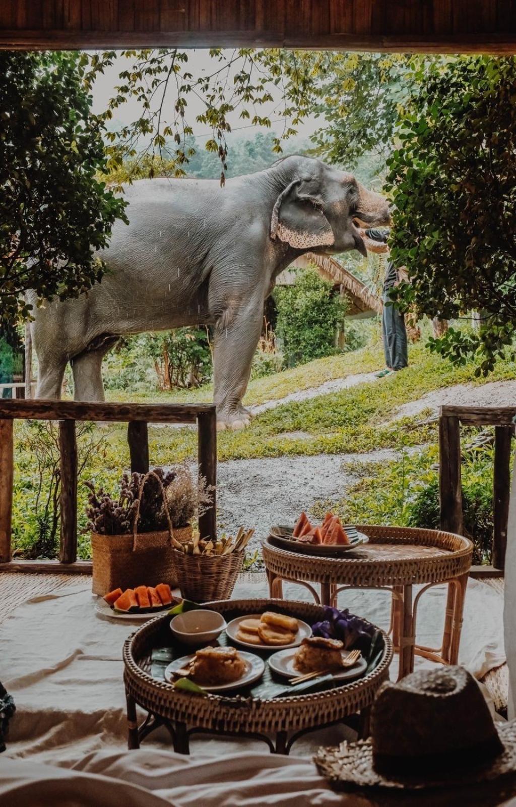 3 Pok Maewang Jinxiang Gold Elephant Park 湄旺 外观 照片